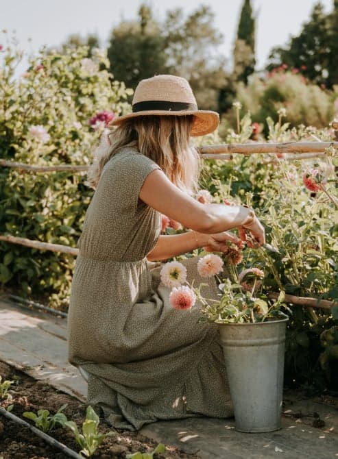 Floristería a Domicilio en Barcelona, flores icónicas, ramos de temporada, plantas, arreglos florales para bodas y eventos.