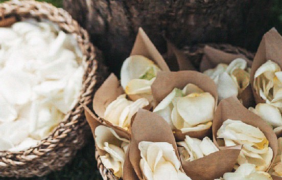 Floristería a Domicilio en Barcelona, flores icónicas, ramos de temporada, plantas, arreglos florales para bodas y eventos.