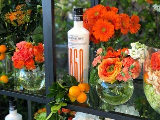 Floristería a Domicilio en Barcelona, flores icónicas, ramos de temporada, plantas, arreglos florales para bodas y eventos.