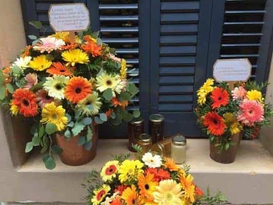 Floristería a Domicilio en Barcelona, flores icónicas, ramos de temporada, plantas, arreglos florales para bodas y eventos.