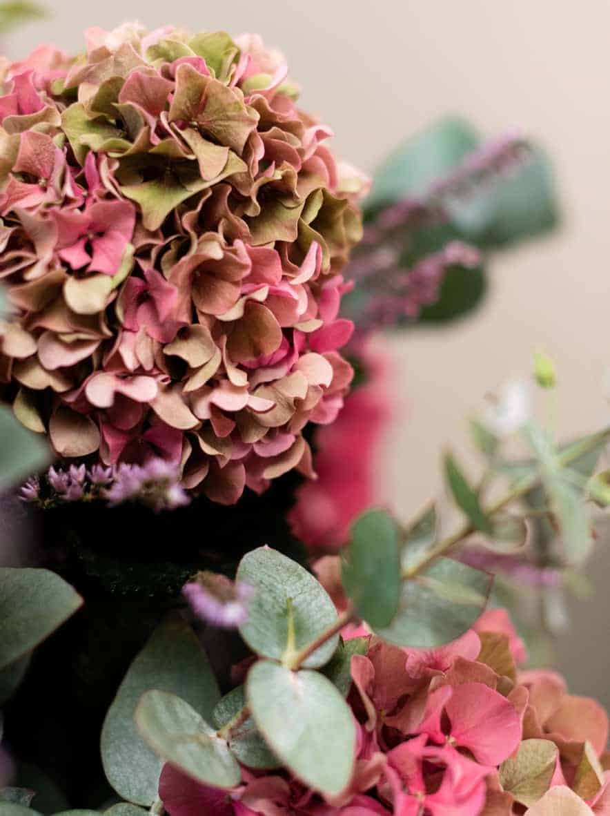Ramo de Hortensias rosadas
