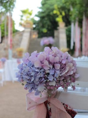 Floristería a Domicilio en Barcelona, flores icónicas, ramos de temporada, plantas, arreglos florales para bodas y eventos.