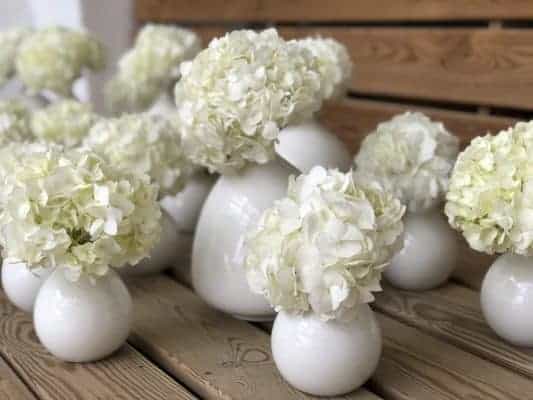Floristería a Domicilio en Barcelona, flores icónicas, ramos de temporada, plantas, arreglos florales para bodas y eventos.