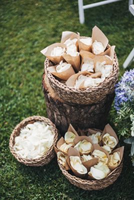 Floristería a Domicilio en Barcelona, flores icónicas, ramos de temporada, plantas, arreglos florales para bodas y eventos.