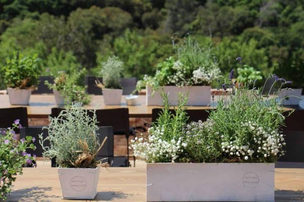 Floristería a Domicilio en Barcelona, flores icónicas, ramos de temporada, plantas, arreglos florales para bodas y eventos.
