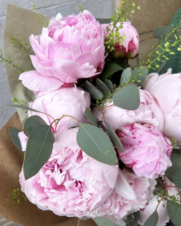 Ramo de peonías rosadas